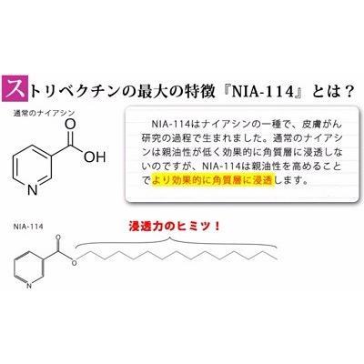 ストリベクチン アンチリンクル ブライトニング エッセンスローション 150ml  (化粧水)くすみ くすんだお肌 化粧水 明るく 透明感 うるおい トーンアップ |  | 05