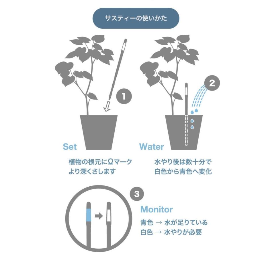 並行輸入品 キャビノチェ Sustee 水やりチェッカー サスティー Lサイズ ホワイト C 0013 Wh Discoversvg Com