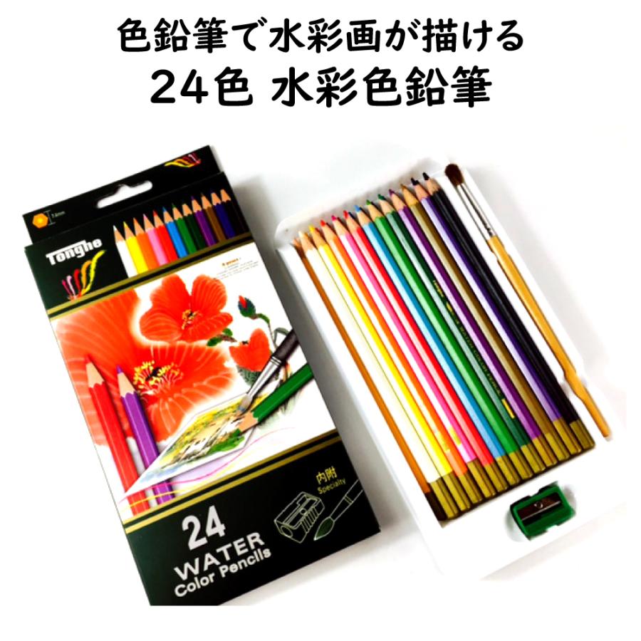 24色 水彩 色鉛筆 水彩画が色鉛筆で描ける 大人から子供まで塗り絵が