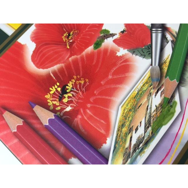 24色 水彩 色鉛筆 水彩画が色鉛筆で描ける 大人から子供まで塗り絵が