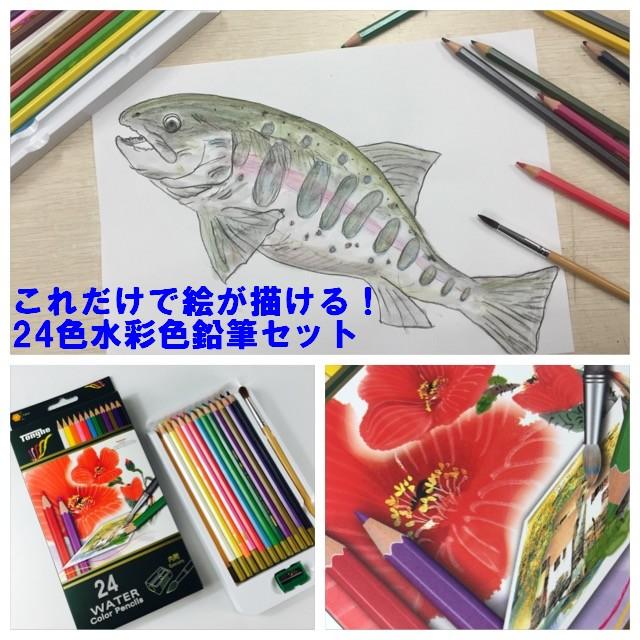24色 水彩 色鉛筆 水彩画が色鉛筆で描ける 大人から子供まで