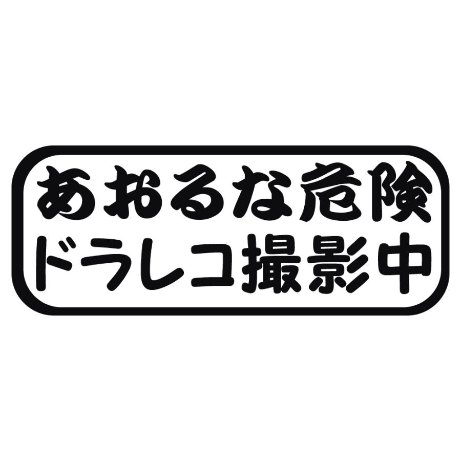 ステッカー あおるな危険 ドラレコ撮影中 選べる10色 縦6cm×横16cm 