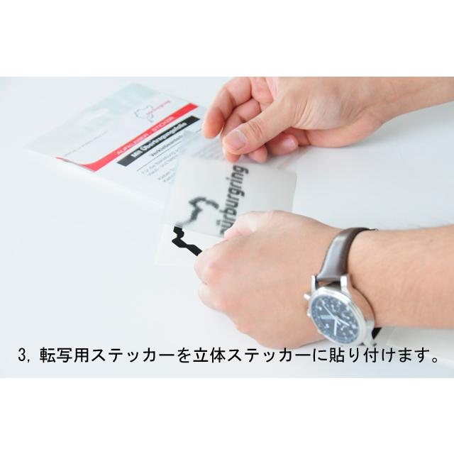 ニュルブルクリンクステッカー 立体タイプ シルバー NRA9935A |  | 03