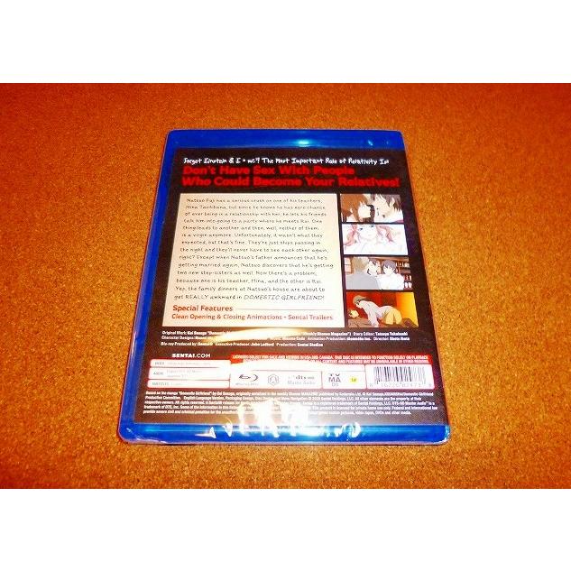 並行輸入品】新品BD ドメスティックな彼女 全12話BOXセット 北米