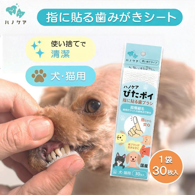 ハノケア ぴたポイ 指に貼る歯ブラシ まとめ買い20セット ケーピーエス ハノケア ぴたポイ 30枚入 : ドッグサポートアエコム