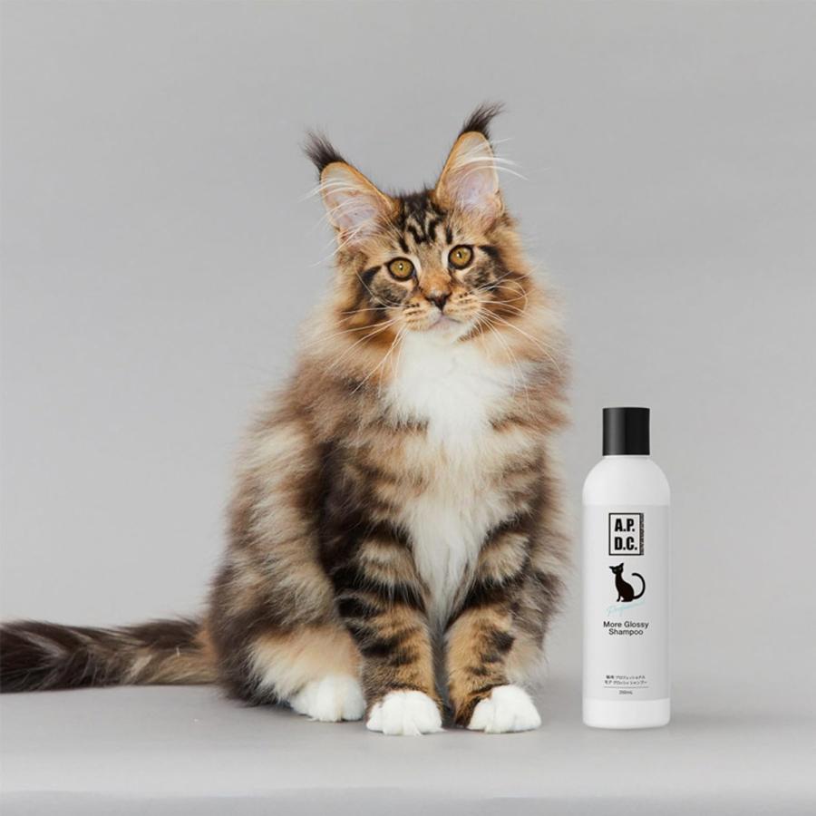 A.P.D.C. APDC 猫用 プロフェッショナル モアグロッシィシャンプー