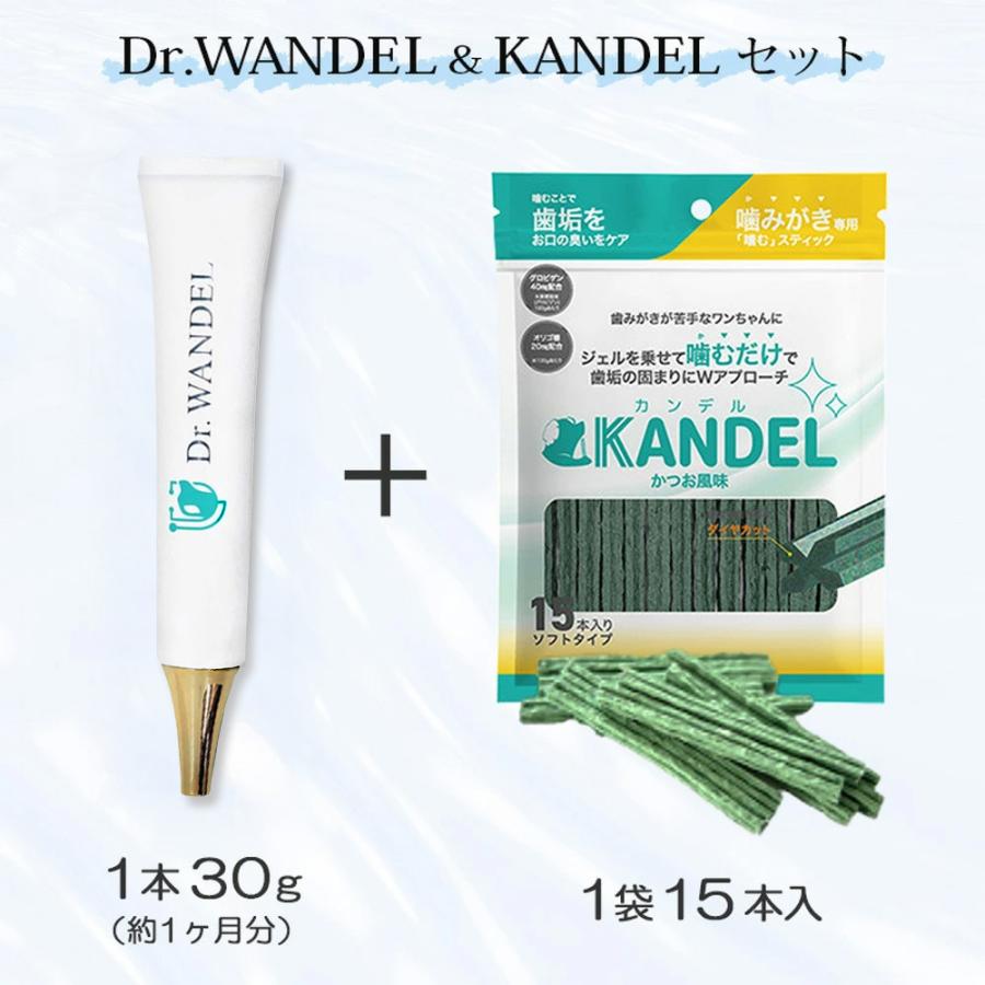 ドクターワンデル & カンデル セット カンデル賞味期限2027年6月
