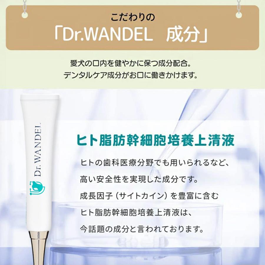 ドクターワンデル & カンデル セット カンデル賞味期限2027年4月
