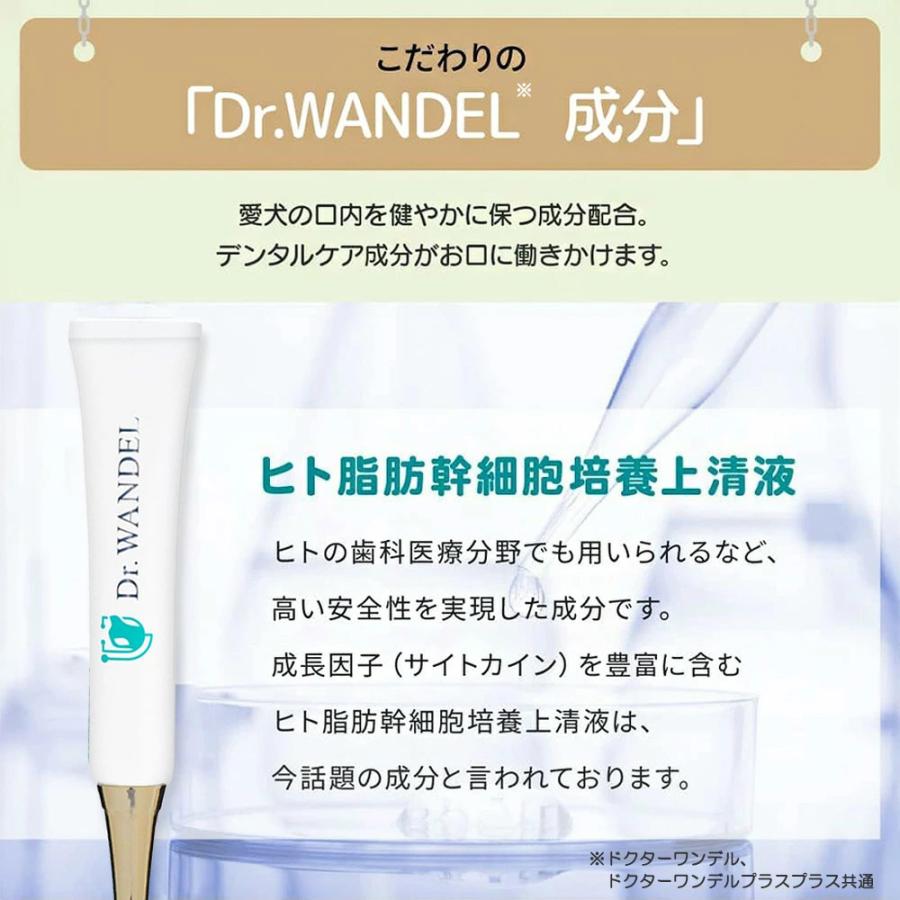ドクターワンデル & カンデル セット カンデル賞味期限2027年6月