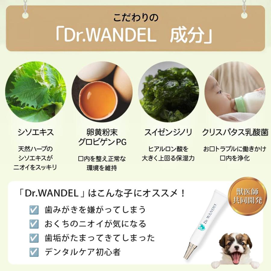 ドクターワンデル & カンデル セット カンデル賞味期限2027年4月