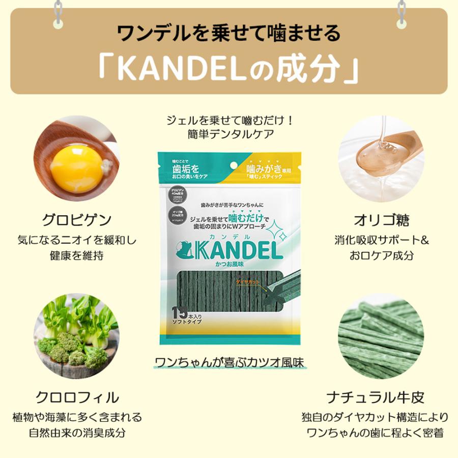 【きなこ】Dr.WANDEL、KANDEL、歯ブラシセット ドクターワンデル & カンデル セット カンデル賞味期限2027年6月