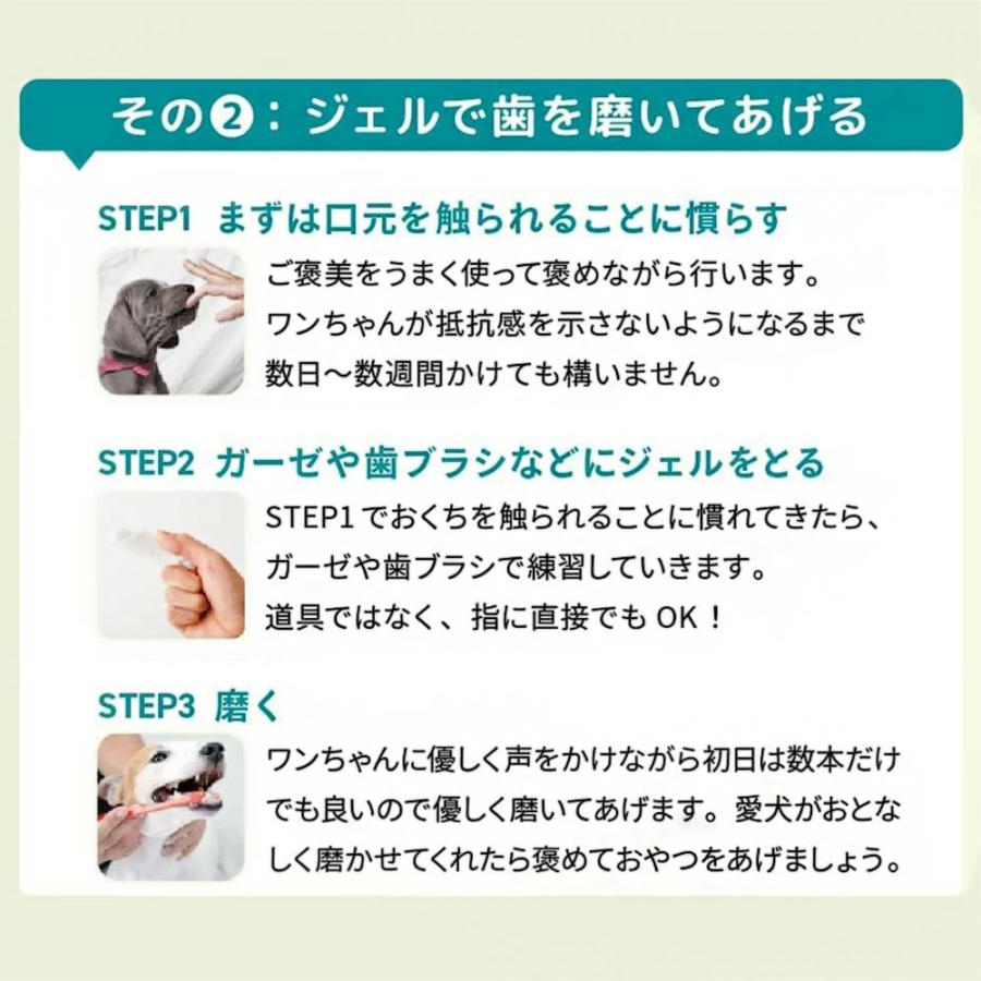 ドクターワンデル & カンデル セット カンデル賞味期限2027年4月