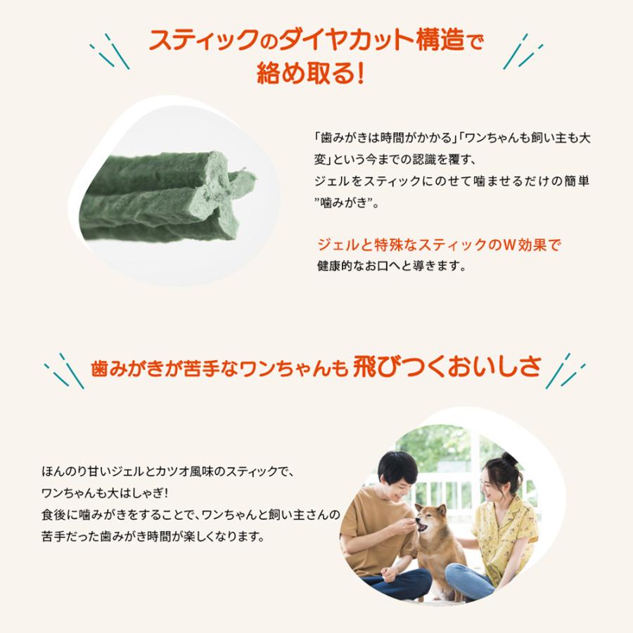 ドクターワンデル & カンデル セット カンデル賞味期限2027年4月