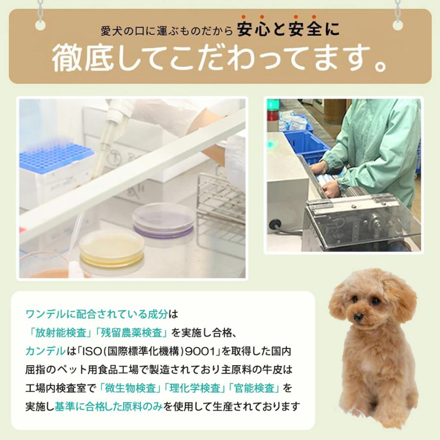 ドクターワンデル & カンデル セット カンデル賞味期限2027年4月