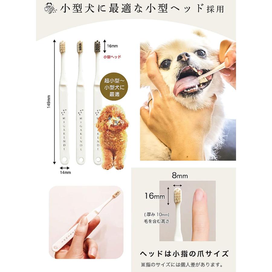 電動歯ブラシ doge 電動歯ブラシ doge 電動歯ブラシ doge 電動歯ブラシ doge Amazon.co.jp