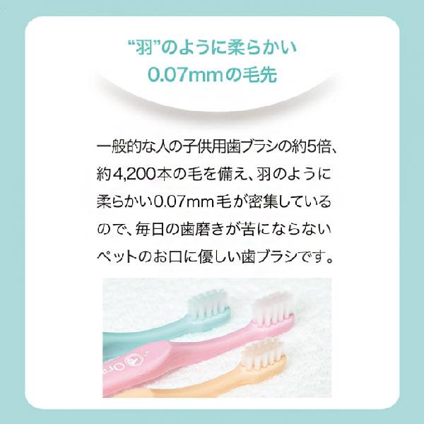 OraBio（オーラバイオ） オーラバイオペーストPRO 50g 無香料 & オーラ