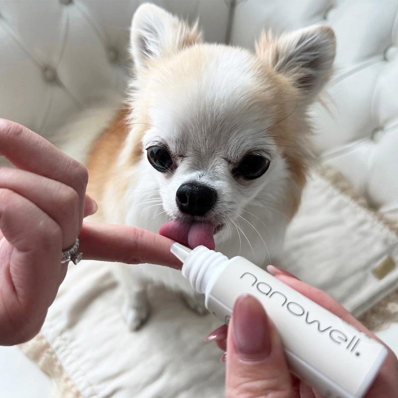 【新品】nanowell ナノウエル オーラルケア 愛犬用 20ml 3本セット nanowell（ナノウエル） オーラルケア for DOG 愛犬用 20ml 3個 セット