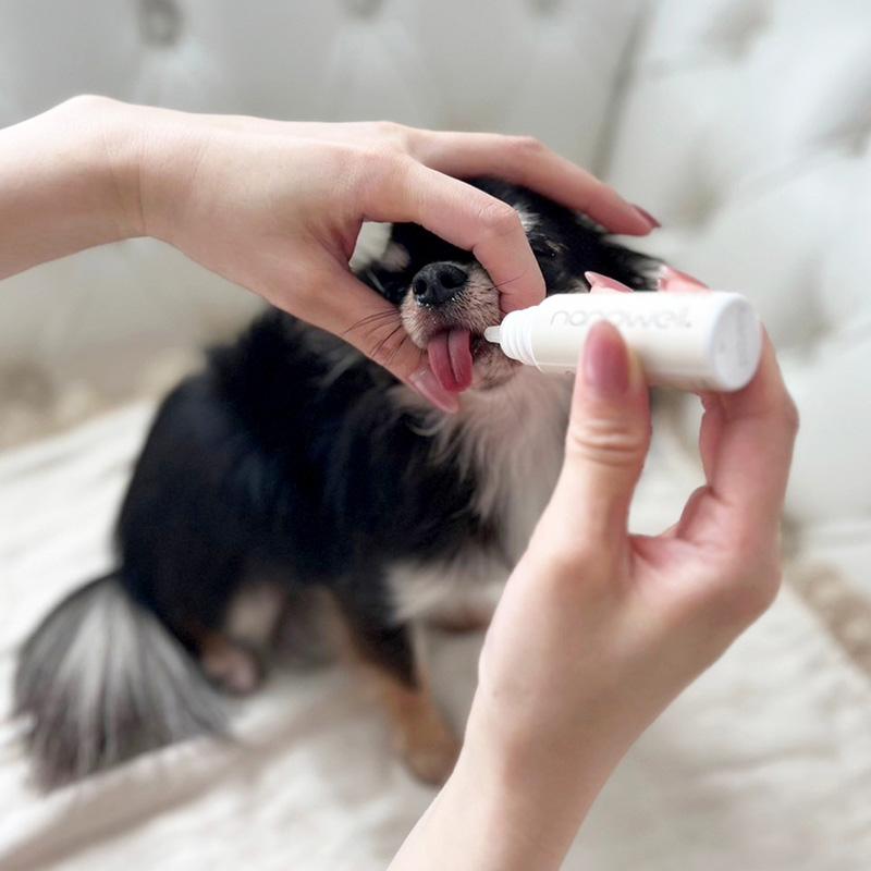 【新品】nanowell ナノウエル オーラルケア 愛犬用 20ml 3本セット nanowell（ナノウエル） オーラルケア for DOG 愛犬用 20ml 3個 セット