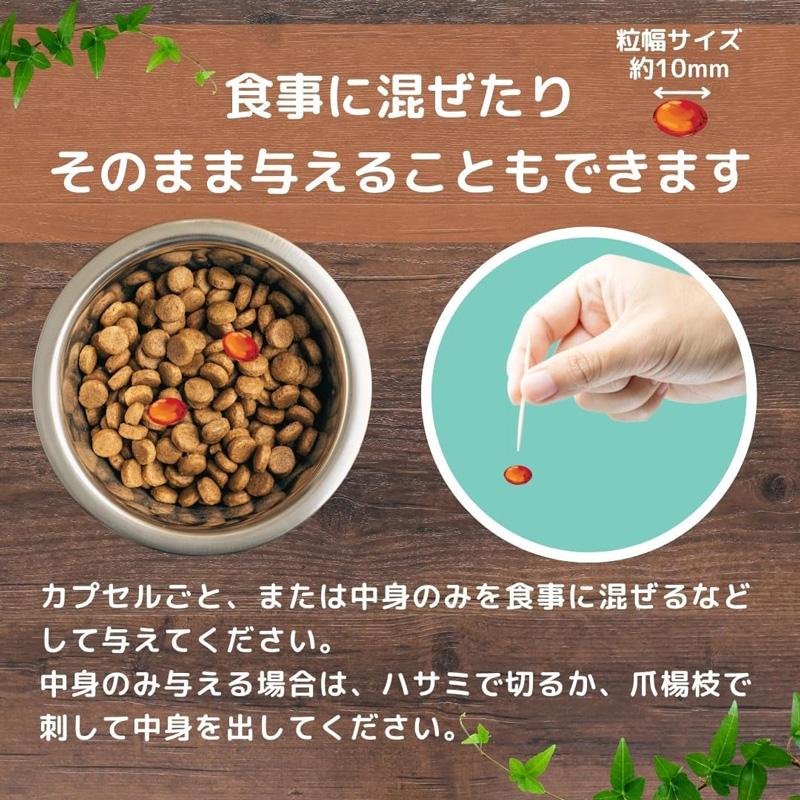 ピュアペッツ バイ-アクティブ 60粒 賞味期限2029年2月3日 : ドッグ