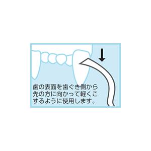 犬口ケア スケーラー フラット｜aecom｜02