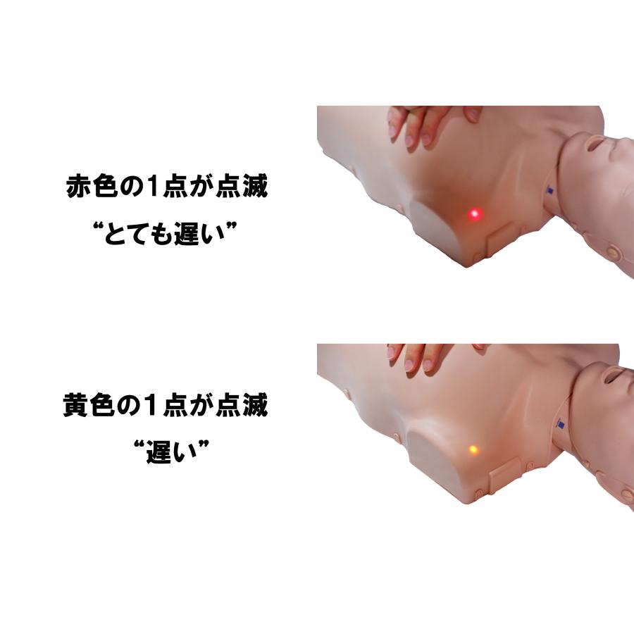 Prestan 心肺蘇生 CPR マネキン 大人用 トレーニングマネキン 心臓