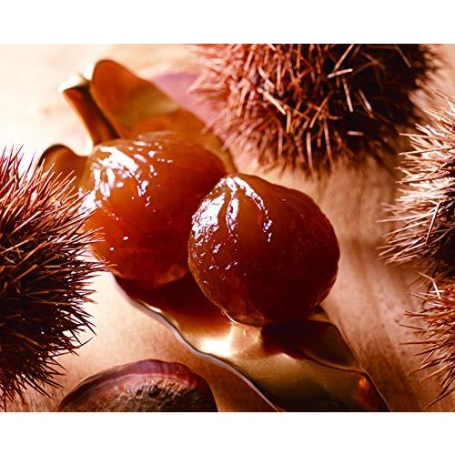 Yahoo ショッピング Paypayポイントがもらえる ネット通販