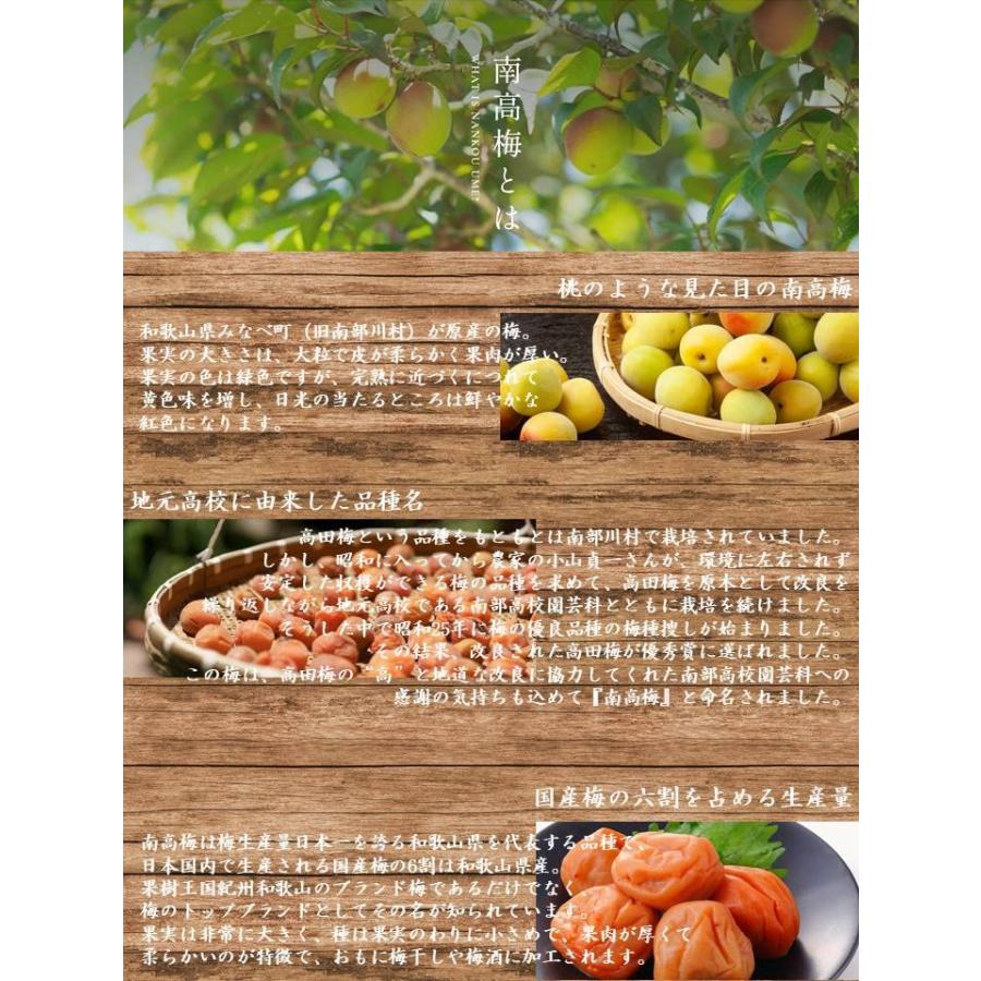 2022 訳あり 紀州南高梅 梅と塩だけで漬けた 無添加梅干し1kg 無着色 白干し Yo 訳あり 紀州南高梅 梅と塩だけで漬けた 無添加梅干し1kg 無着色 白干し Ko