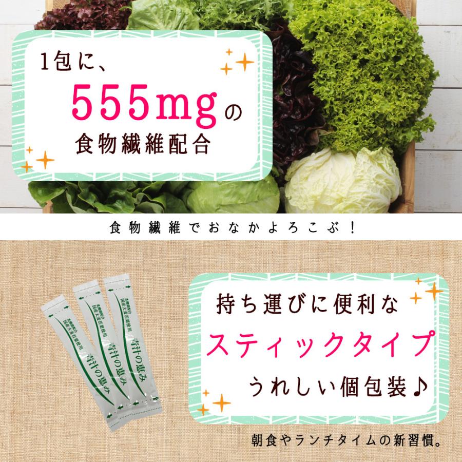 鹿児島県産 乳酸菌 国産青汁 21包 3週間分(63g) 国産 飲みやすい 健康 ダイエット 乳酸菌 食物繊維 大麦若葉 野菜 送料無料 ギフト Y｜aemotion｜13