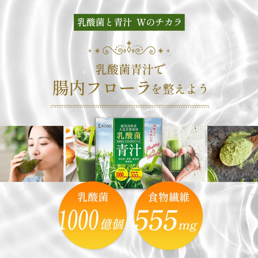 乳酸菌と大麦若葉のチカラ 青汁（3g×21包）×25袋　525包 鹿児島県産 乳酸菌 国産青汁 21包 3週間分(63g) 国産 飲みやすい 健康