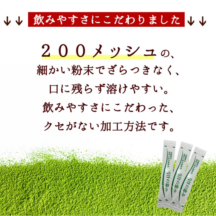 鹿児島県産 乳酸菌 国産青汁 21包 3週間分(63g) 国産 飲みやすい 健康 ダイエット 乳酸菌 食物繊維 大麦若葉 野菜 送料無料 ギフト Y｜aemotion｜05