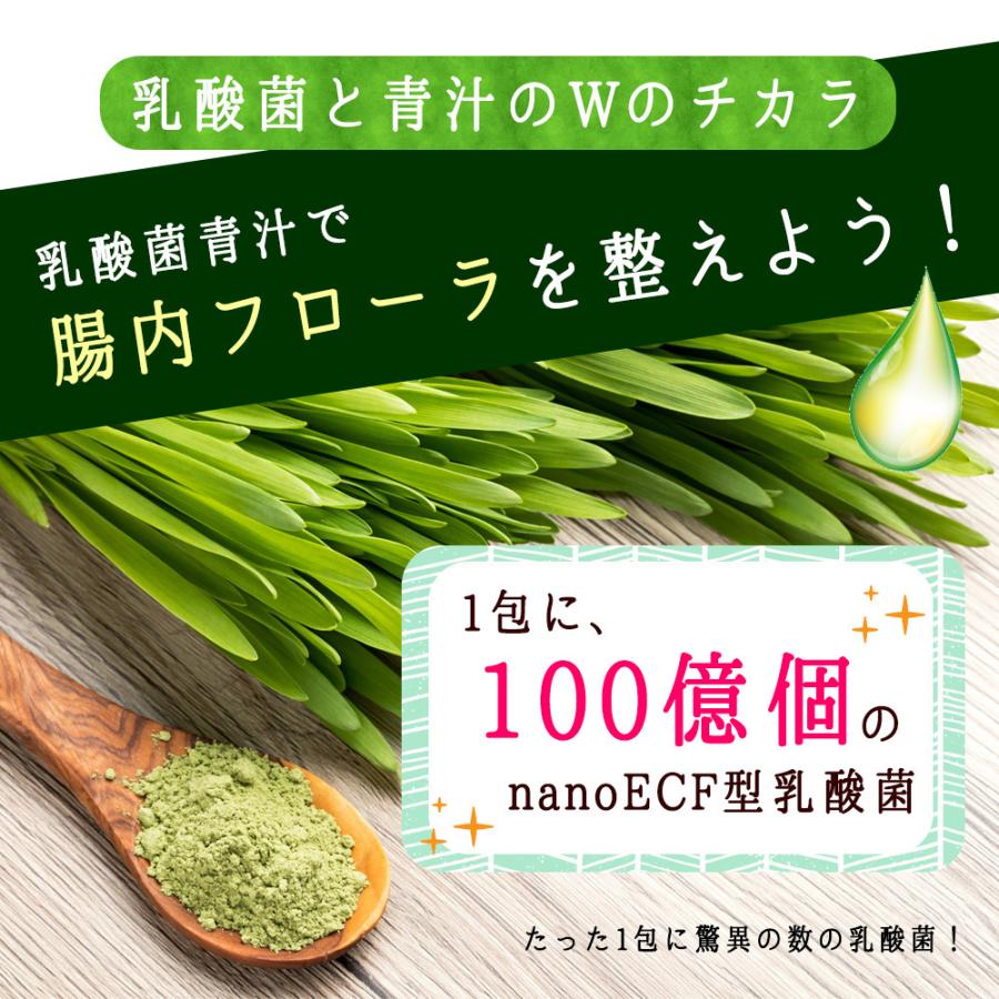 最も 青汁 乳酸菌青汁 126包 21包×6袋 4ヵ月分 国産 鹿児島県産 人気 健康 ダイエット 乳酸菌 食物繊維 大麦若葉 野菜 送料無料 ギフト 最も 青汁 乳酸菌青汁 126包 21包×6袋 4ヵ月分 国産 鹿児島県産 人気 健康 ダイエット 乳酸菌 食物繊維 大麦若葉 野菜 送料無料 ギフト