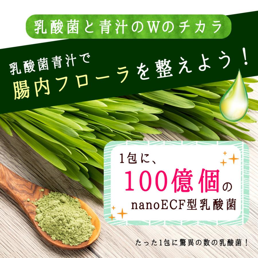 国産 青汁 乳酸菌青汁 378g(3g×126包) 4ヵ月分 鹿児島県産 飲みやすい 健康 ダイエット 乳酸菌 食物繊維 大麦若葉 野菜 送料無料 ギフト Y｜aemotion｜12