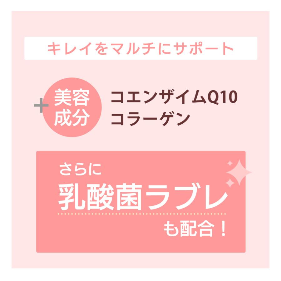 プロテイン BASE 500g 25回分 マルチプロテイン 女性用 ソイプロテイン