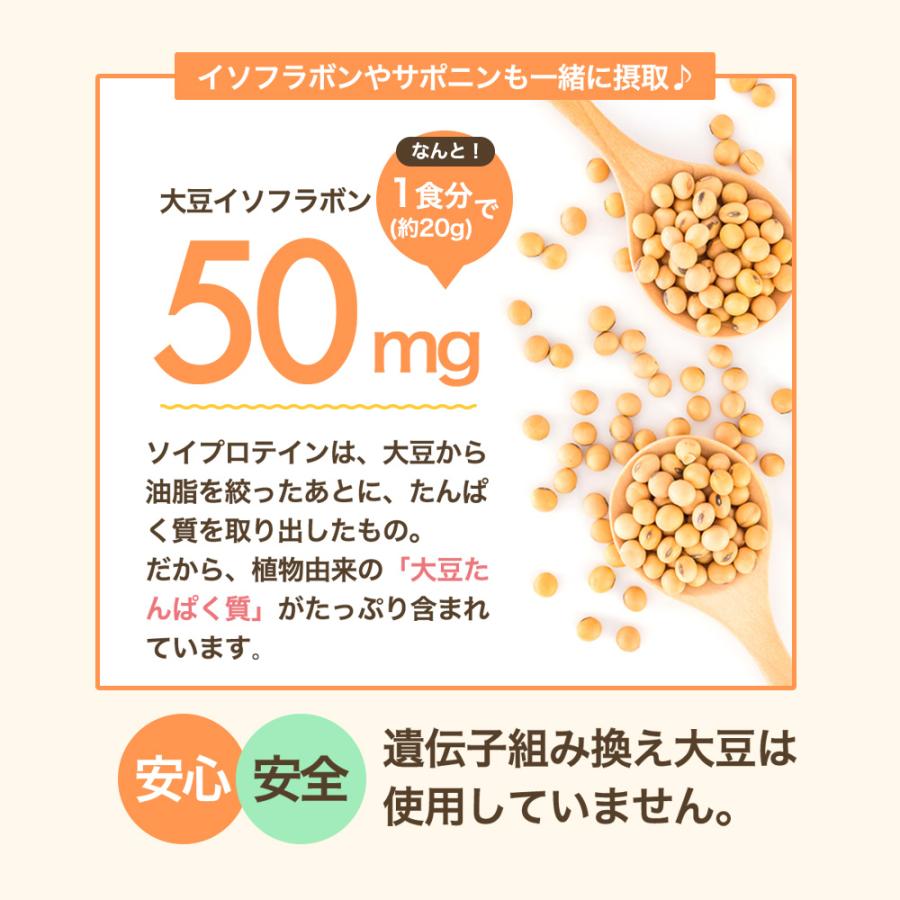ソイプロテイン 2kg 人工甘味料不使用 スプーン付 マンゴー バナナ