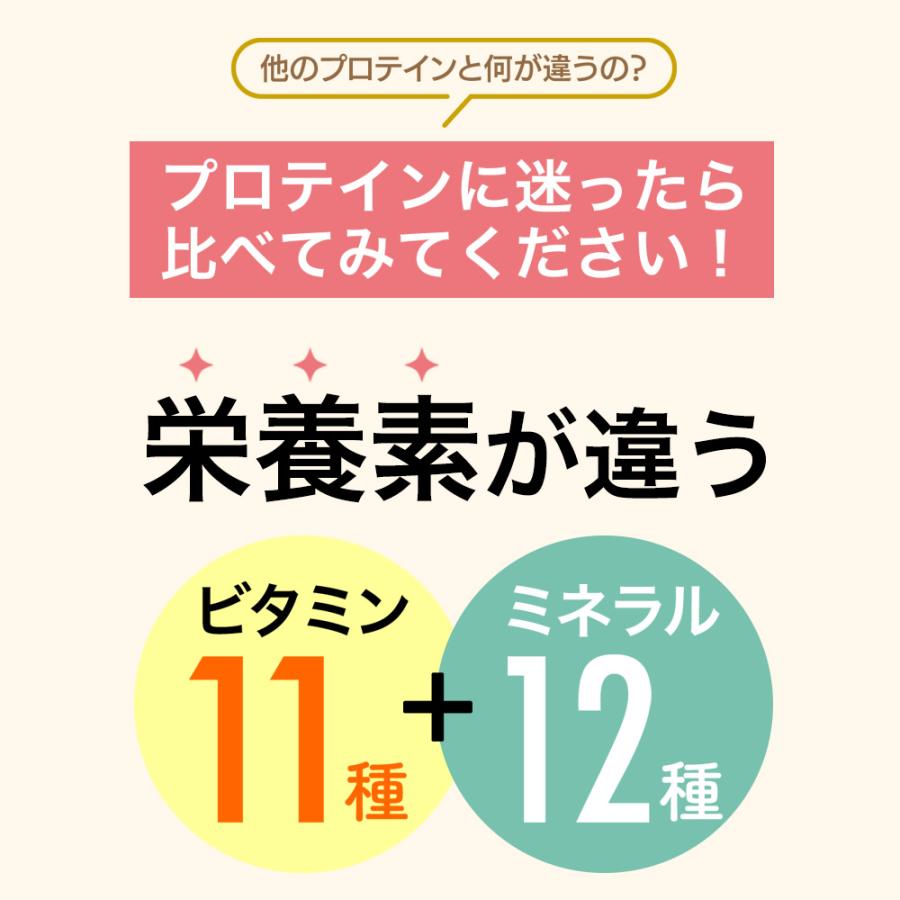 ソイプロテイン 1kg 人工甘味料不使用 スプーン付 プロテイン マンゴー バナナ いちご ストロベリー チョコ ココア ミルクティー ダイエット 大豆 爆買 Y | KOSEI（食品） | 07