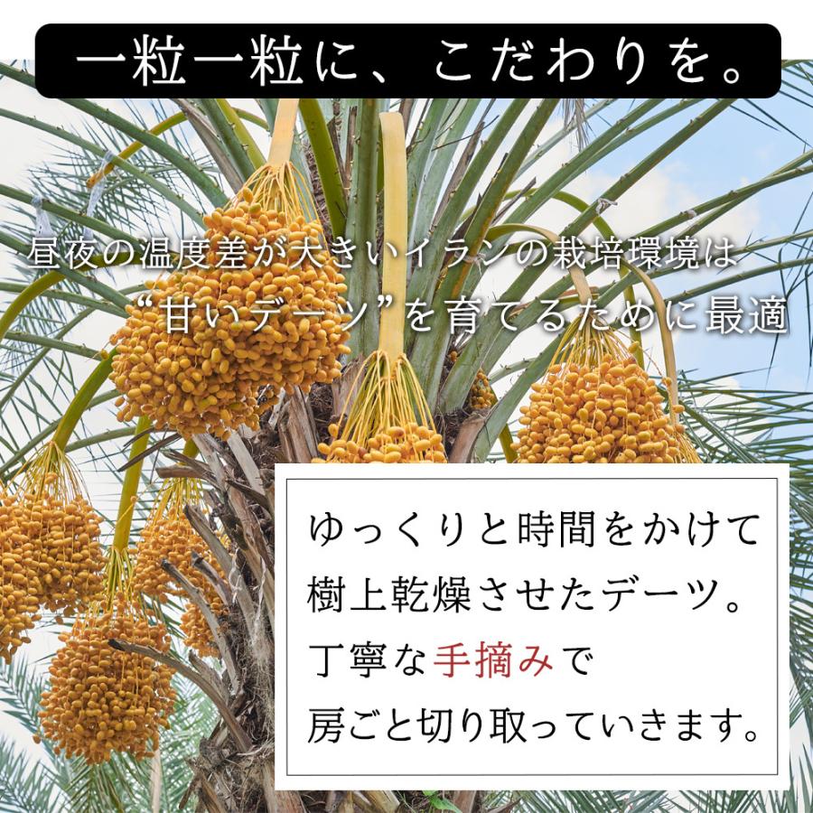 ドライデーツ 850g 砂糖不使用 ノンオイル 種なし種ありが選べる 無添加 無塩 無油 デーツ ドライフルーツ おやつ おつまみ 大容量 美容 健康 送料無料 Y｜aemotion｜04