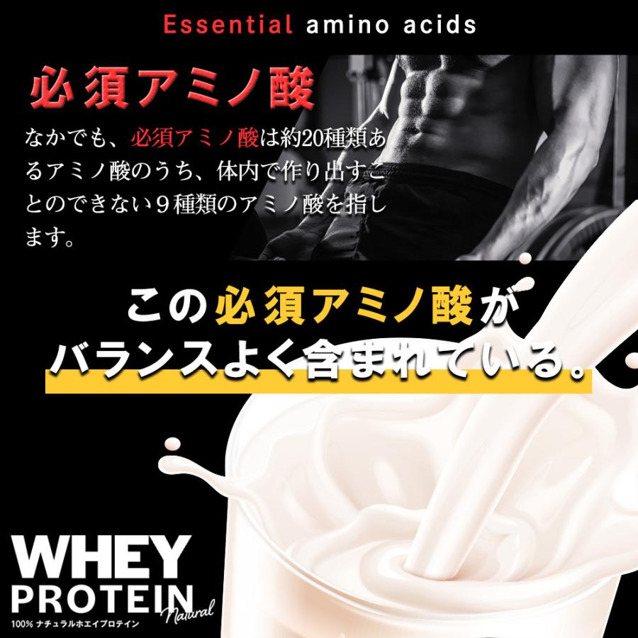 ナチュラル ホエイ プロテイン 5kg 無添加 保存料不使用 ホエイ ダイエット 筋肉 スポーツ 大容量 アミノ酸 タンパク質 送料無料 ギフト Hoei1000 5 Aemotion 通販 Yahoo ショッピング