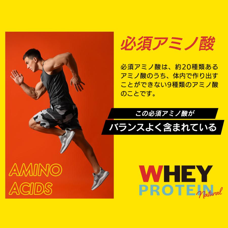 ホエイプロテイン ナチュラル 3kg 国内製造 無添加 保存料不使用 ホエイ ダイエット スポーツ 大容量 アミノ酸 タンパク質 送料無料 ギフト 爆買 Y | ブランド登録なし | 07