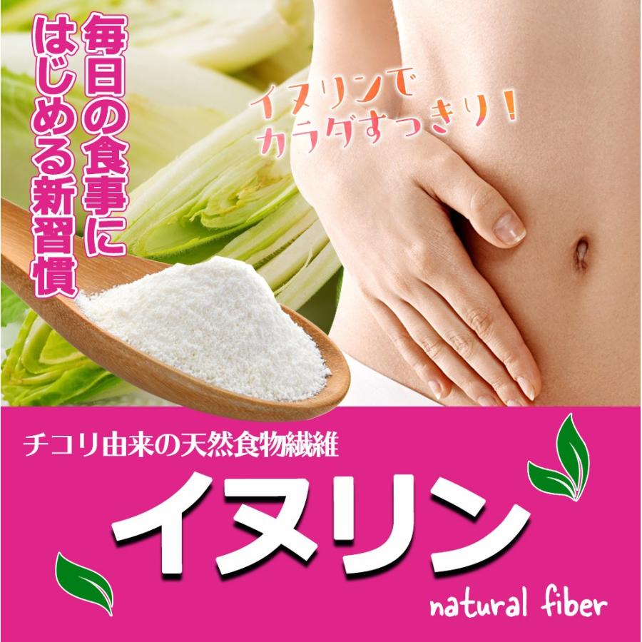Tvで話題沸騰中 イヌリン 500g 無添加 ダイエット イヌリンパウダー 食物繊維 グルテンフリー アレルゲンフリー 料理 製菓 送料無料 ギフト Inurin500 1 Aemotion 通販 Yahoo ショッピング