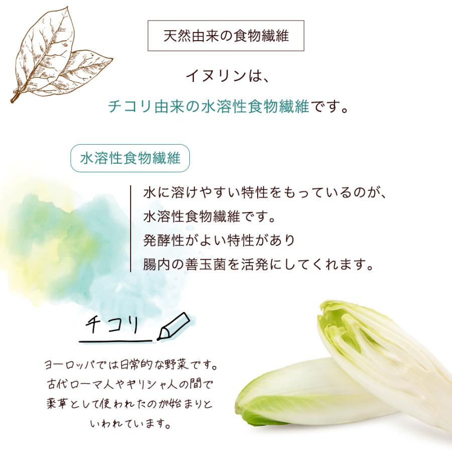 管理栄養士監修 イヌリン 500g 食物繊維 水溶性食物繊維 ダイエット 粉末 サプリ パウダー チコリ由来 グルテンフリー アレルゲンフリー 料理 Y | KOSEI（食品） | 02