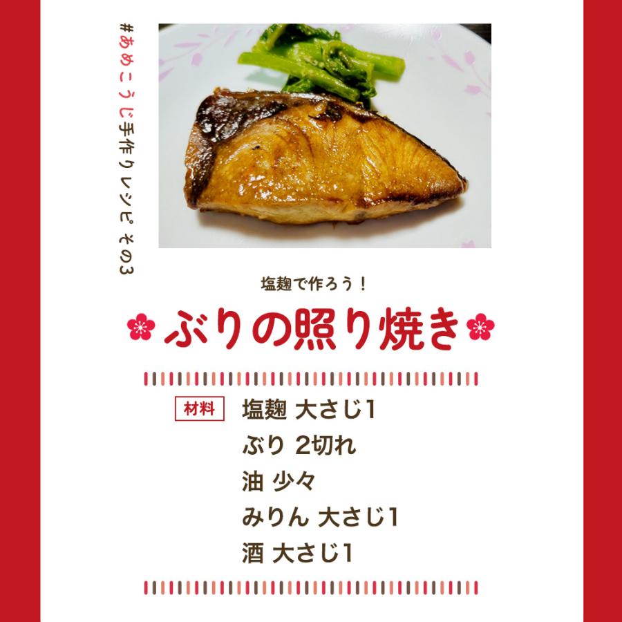 KOSEI 管理栄養士監修 あめこうじ 乾燥 900g 米麹 麹 秋田県産米100