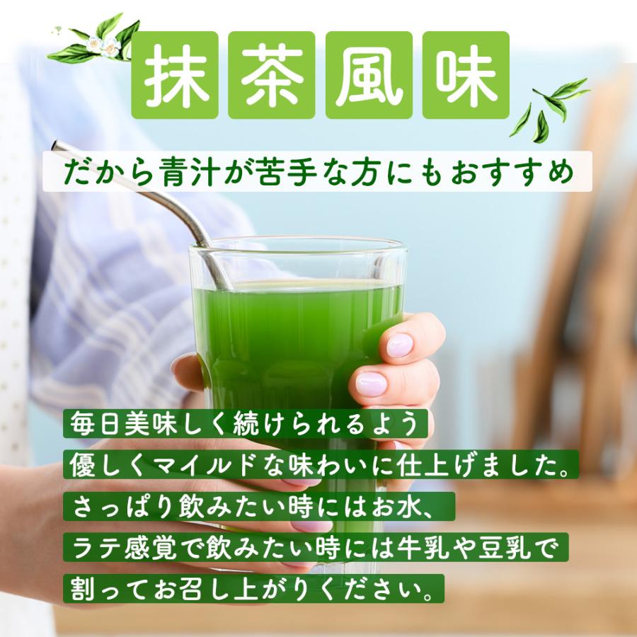金の酵素青汁 132g(3g×44包) 青汁 国内製造 小分け 酵素 ダイエット