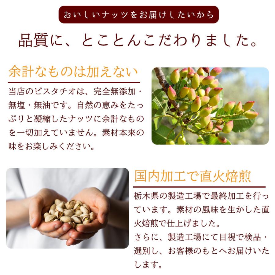 ピスタチオ 700g 素焼き 無添加 無塩 無油 おやつ おつまみ 大容量 美容 健康 送料無料 ギフト Y | ブランド登録なし | 02