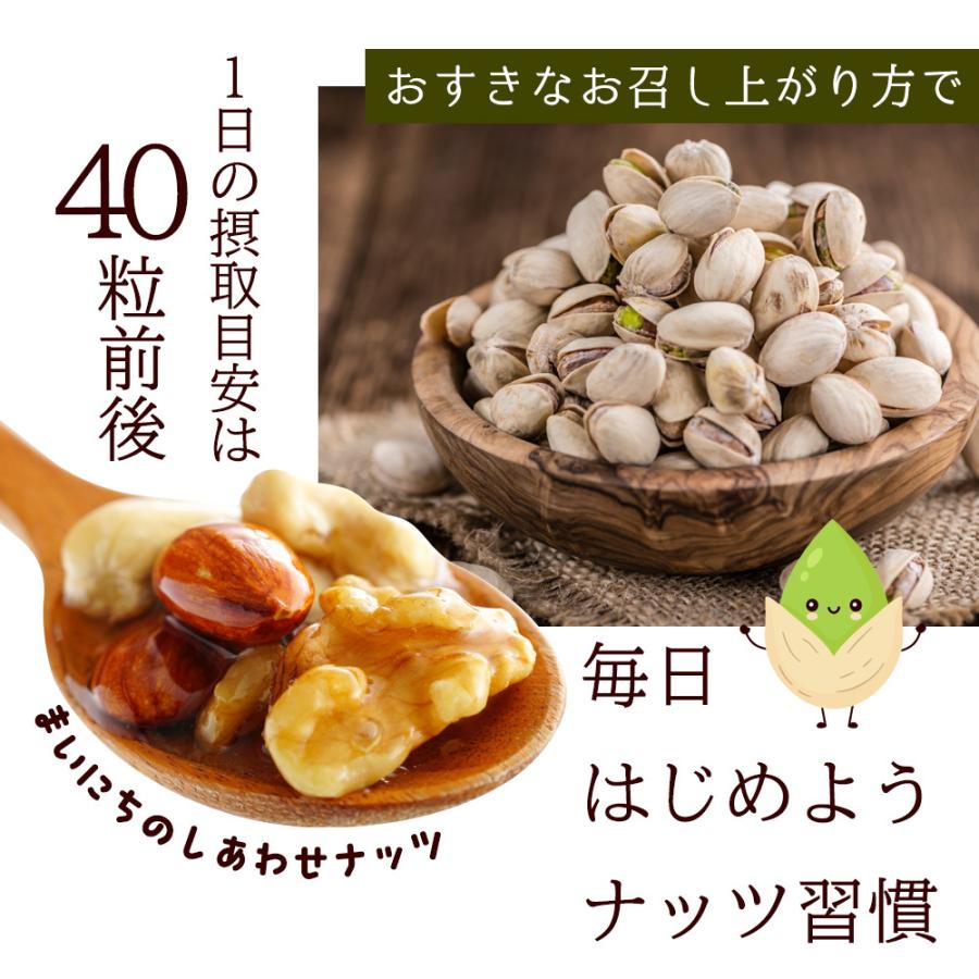 ピスタチオ 700g 素焼き 無添加 無塩 無油 おやつ おつまみ 大容量 美容 健康 送料無料 ギフト Y | ブランド登録なし | 07