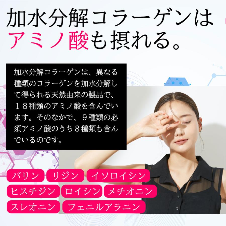 溶けるコラーゲン 100％パウダー 90g×12個 (1007-12) | おきなわ晴家