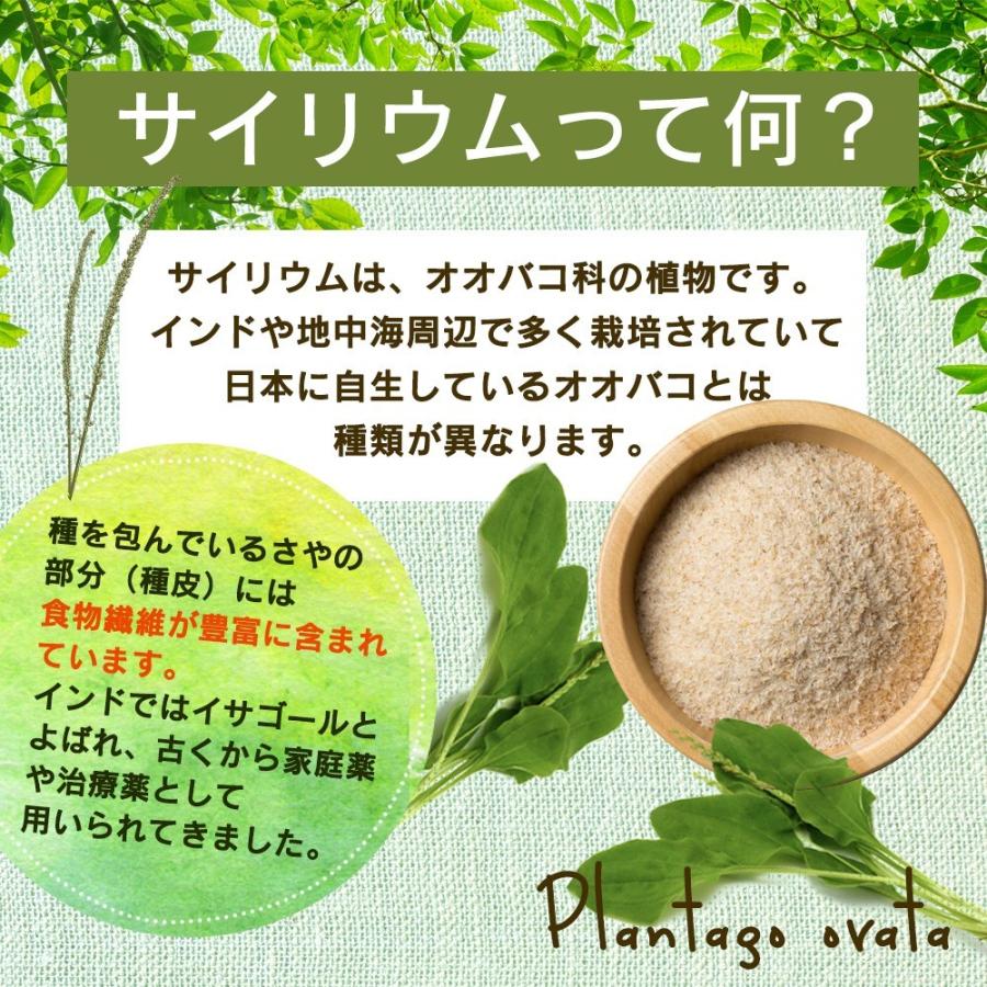 サイリウム (オオバコ) 500g 食物繊維 美容 ダイエット 健康 国内製造 デトックス サプリメント  Plantago ovata 送料無料 ギフト Y｜aemotion｜03