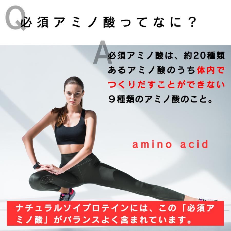 無添加 ソイプロテイン プロテイン ナチュラル 1kg ( 保存料不使用 大豆 ダイエット 美容 スポーツ 大容量 アミノ酸 プロテイン ) :soypro500-2:aemotion - 通販 - Yahoo!ショッピング 無添加 ソイプロテイン プロテイン ナチュラル 1kg ( 保存料不使用 大豆 ダイエット 美容 スポーツ 大容量 アミノ酸 プロテイン ) :soypro500-2:aemotion - 通販 - Yahoo!ショッピング