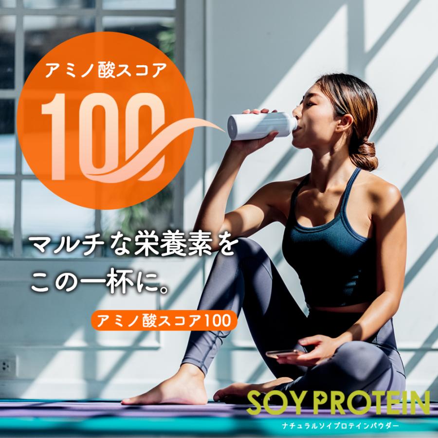 無添加 ソイプロテイン プロテイン ナチュラル 1kg 国内製造 保存料不使用 大豆 ダイエット 美容 スポーツ 大容量 アミノ酸 プロテイン Y｜aemotion｜10