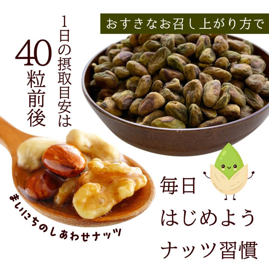 殻なし ピスタチオ 500g 素焼き 無塩 無添加 ナッツ 製菓 製パン 美容 健康 おやつ おつまみ 大容量 ポイント消化 食物繊維 ビタミン Y｜aemotion｜08