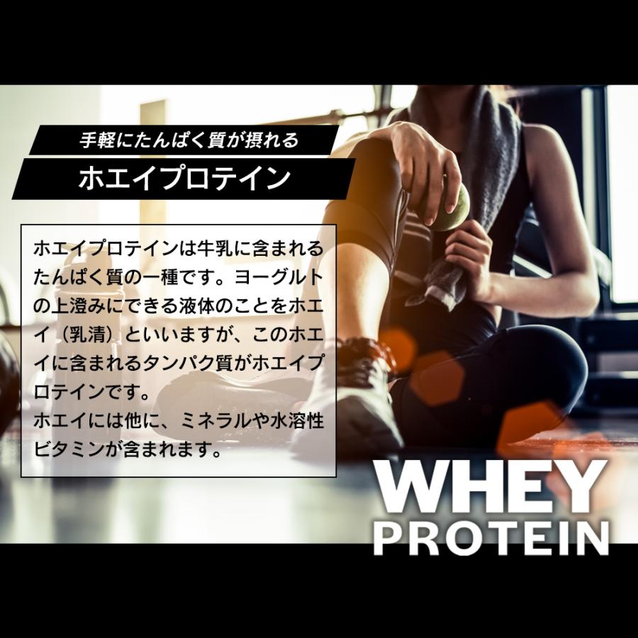 ホエイプロテイン 1kg 選べる (ココア/ベリーミックス/抹茶ラテ/ビターチョコ/カフェラテ）スプーン付 国内製造 プロテイン タンパク質 アミノ酸 爆買 Y | ブランド登録なし | 10